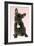 French Bulldog Puppy-null-Framed Photographic Print