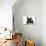 French Bulldog Puppy-null-Photographic Print displayed on a wall