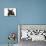 French Bulldog Puppy-null-Mounted Photographic Print displayed on a wall