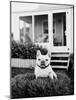 French Bulldog Southampton NY-Theo Westenberger-Mounted Art Print