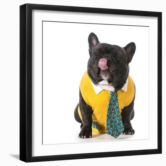 French Bulldog Wearing Shirt and Tie with Silly Expression-Willee Cole-Framed Photographic Print