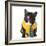 French Bulldog Wearing Shirt and Tie with Silly Expression-Willee Cole-Framed Photographic Print