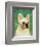 French Bulldog (White)-John W^ Golden-Framed Art Print