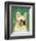 French Bulldog (White)-John W^ Golden-Framed Art Print