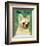 French Bulldog (White)-John W^ Golden-Framed Art Print