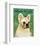 French Bulldog (White)-John W^ Golden-Framed Art Print