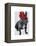 French Bulldog with Red Top Hat and Moustache-Fab Funky-Framed Stretched Canvas