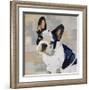 French Bulldog-Keri Rodgers-Framed Giclee Print