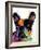 French Bulldog-Dean Russo-Framed Giclee Print