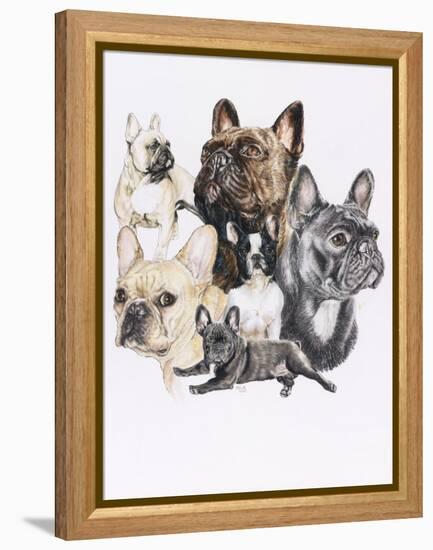 French Bulldog-Barbara Keith-Framed Premier Image Canvas