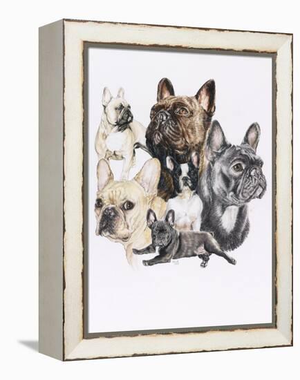 French Bulldog-Barbara Keith-Framed Premier Image Canvas