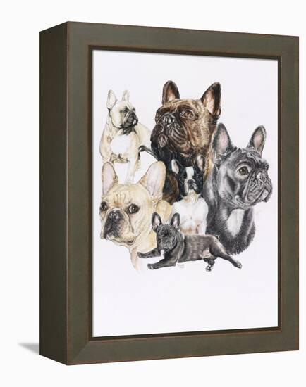French Bulldog-Barbara Keith-Framed Premier Image Canvas