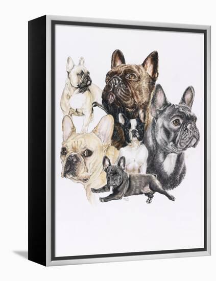 French Bulldog-Barbara Keith-Framed Premier Image Canvas