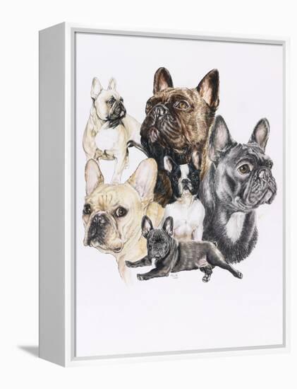 French Bulldog-Barbara Keith-Framed Premier Image Canvas