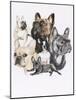 French Bulldog-Barbara Keith-Mounted Giclee Print