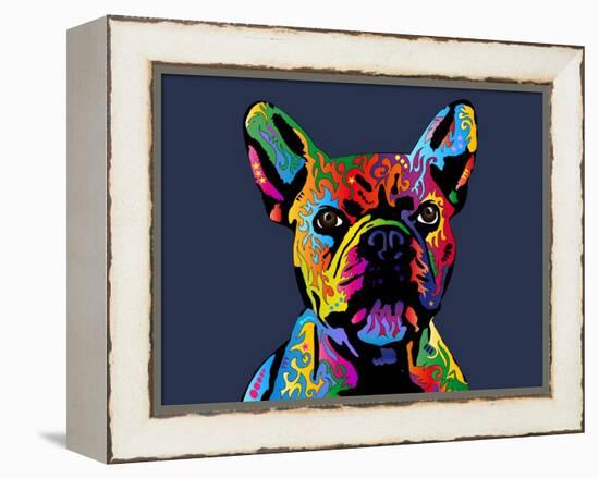 French Bulldog-Michael Tompsett-Framed Stretched Canvas