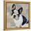 French Bulldog-Keri Rodgers-Framed Stretched Canvas