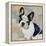 French Bulldog-Keri Rodgers-Framed Stretched Canvas