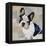 French Bulldog-Keri Rodgers-Framed Stretched Canvas