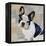 French Bulldog-Keri Rodgers-Framed Stretched Canvas