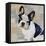 French Bulldog-Keri Rodgers-Framed Stretched Canvas