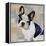 French Bulldog-Keri Rodgers-Framed Stretched Canvas