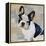 French Bulldog-Keri Rodgers-Framed Stretched Canvas