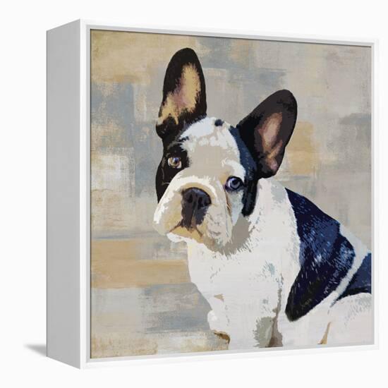 French Bulldog-Keri Rodgers-Framed Stretched Canvas