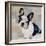 French Bulldog-Keri Rodgers-Framed Art Print