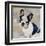 French Bulldog-Keri Rodgers-Framed Art Print