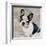 French Bulldog-Keri Rodgers-Framed Art Print