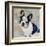 French Bulldog-Keri Rodgers-Framed Art Print