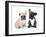 French Bulldogs, Puppy-Lilun-Framed Photographic Print