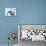 French Bulldogs Puppy-Lilun-Photographic Print displayed on a wall