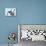 French Bulldogs Puppy-Lilun-Mounted Photographic Print displayed on a wall