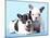 French Bulldogs Puppy-Lilun-Mounted Photographic Print