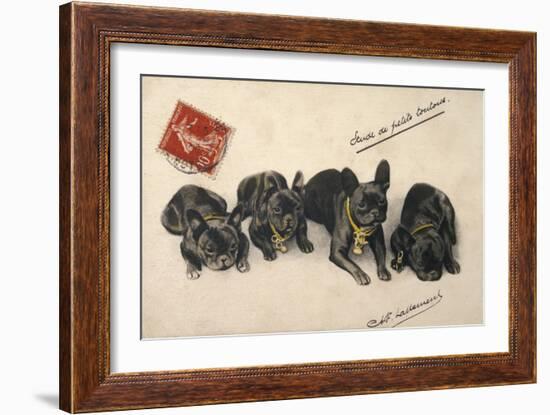 French Bulldogs-null-Framed Art Print