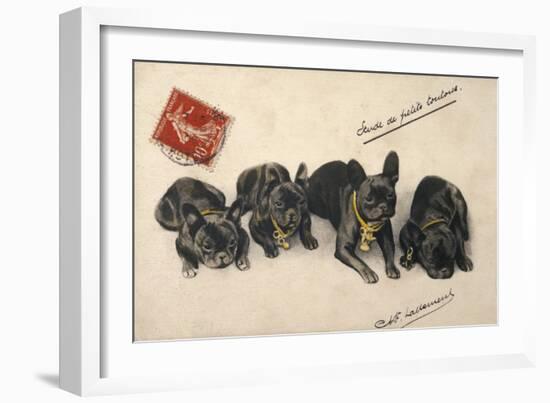 French Bulldogs-null-Framed Art Print