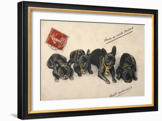 French Bulldogs-null-Framed Art Print