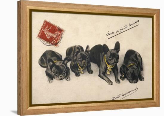 French Bulldogs-null-Framed Stretched Canvas