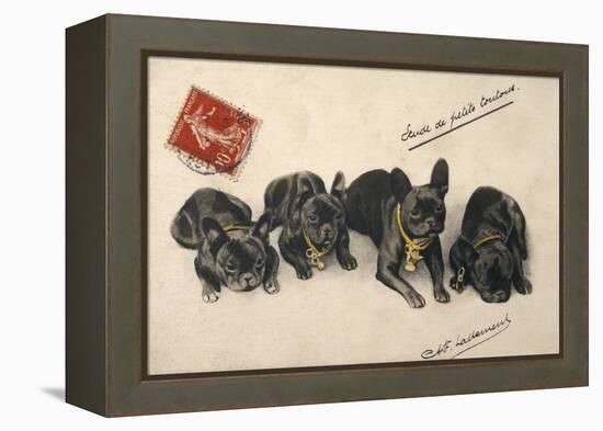 French Bulldogs-null-Framed Stretched Canvas