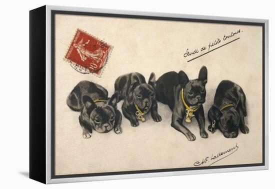 French Bulldogs-null-Framed Stretched Canvas