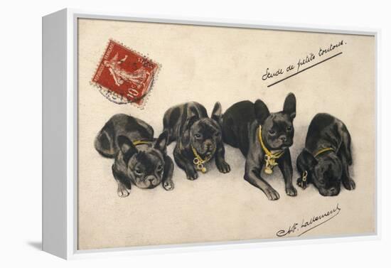 French Bulldogs-null-Framed Stretched Canvas