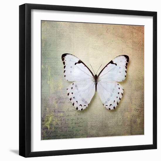 French Butterfly II-Debra Van Swearingen-Framed Art Print