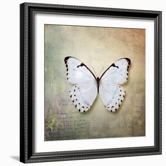 French Butterfly II-Debra Van Swearingen-Framed Art Print