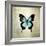 French Butterfly III-Debra Van Swearingen-Framed Art Print