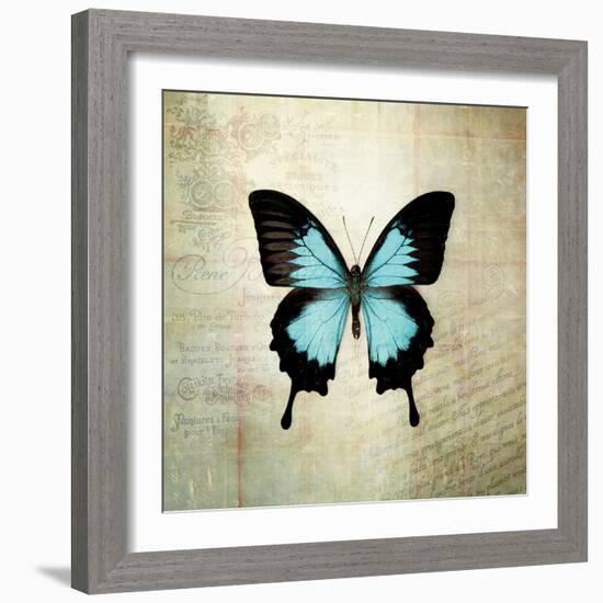 French Butterfly III-Debra Van Swearingen-Framed Art Print