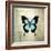 French Butterfly III-Debra Van Swearingen-Framed Art Print