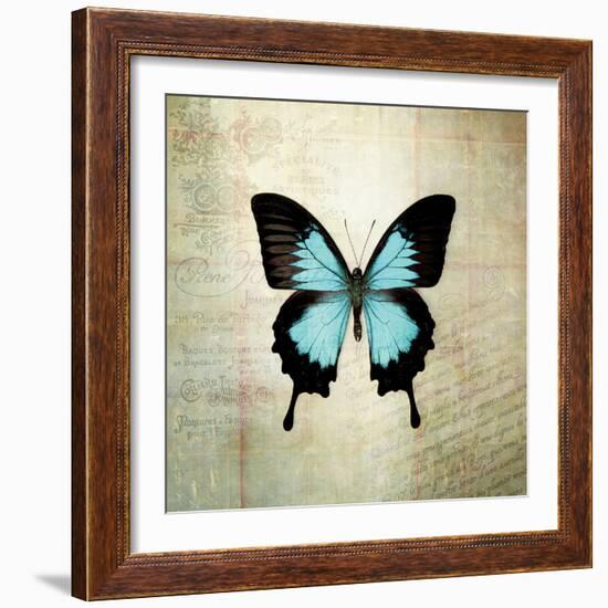 French Butterfly III-Debra Van Swearingen-Framed Art Print