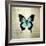 French Butterfly III-Debra Van Swearingen-Framed Art Print